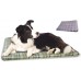 COLCHAO BLUCAO ANTI-STRESS DOG P