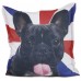 ALMOFADA SS PETS RACA 45X45 - BULLDOG FRANCES