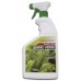 SEMPRE VERDE SAMAMBAIA E FOLHAGENS 750ML