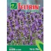 SEMENTE FELTRIN ALFAZEMA OU LAVANDA C/20