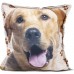 ALMOFADA SS PETS RACA 45X45 - LABRADOR